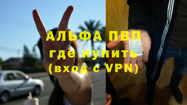 ПСИЛОЦИБИНОВЫЕ ГРИБЫ Куйбышев