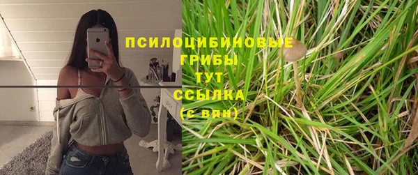 прущая мука Богородск