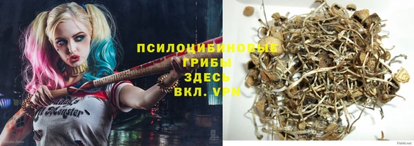 первитин Краснослободск
