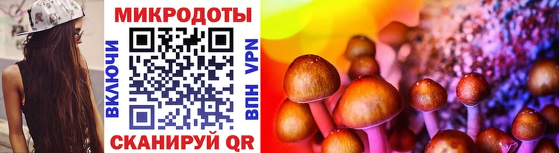 Псилоцибиновые грибы Psilocybine cubensis  как найти закладки  Углич 