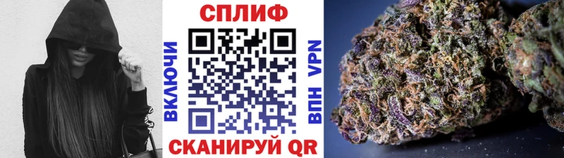 Канабис ГИДРОПОН Углич
